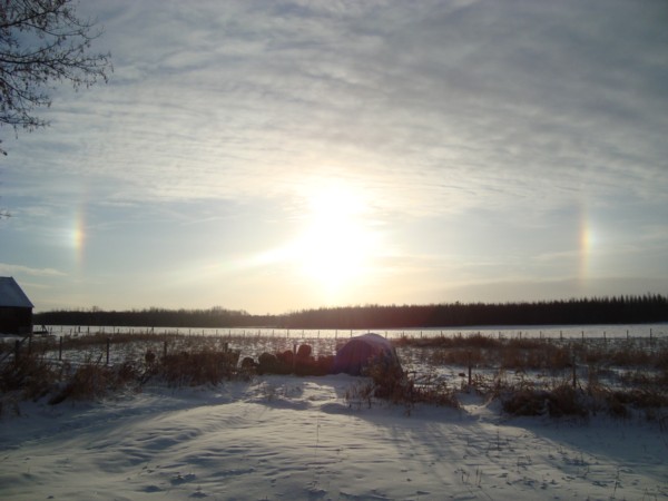 sundogs 001