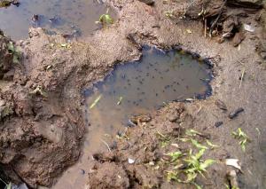 My beautiful picture