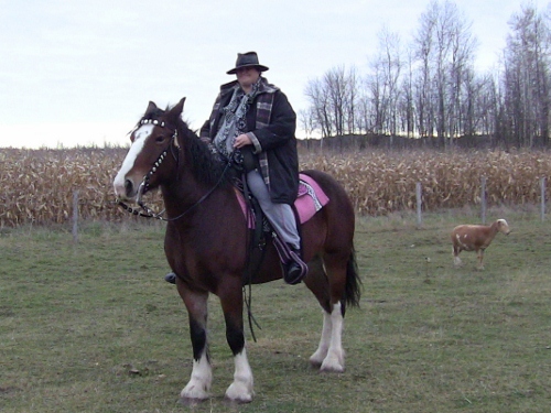 2010-01-15 2010-01-15 003 005 (500x375)