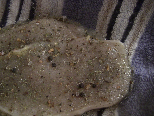 2010-04-21 2010-04-21 013 004 (600x450)