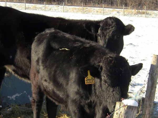 2010-04-21 2010-04-21 024 012 (600x450)