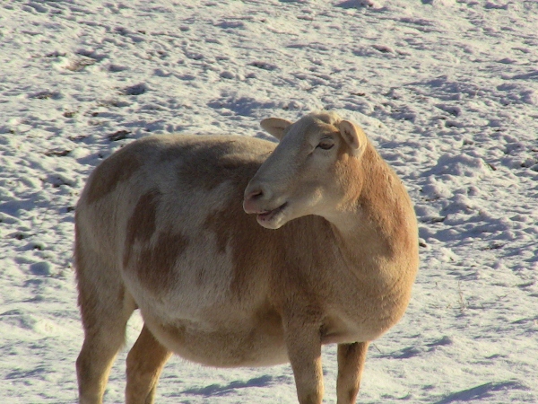 2010-04-21 2010-04-21 024 013 (600x450)