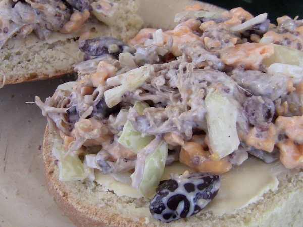 2010-04-21 2010-04-21 026 001 (600x450)