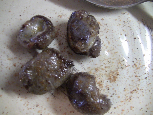 2010-04-21 2010-04-21 027 003 (600x450)