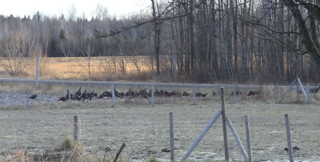 2010-04-21 2010-04-21 035 002