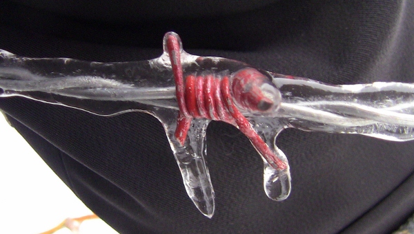 2010-04-21 2010-04-21 039 001 (600x340)