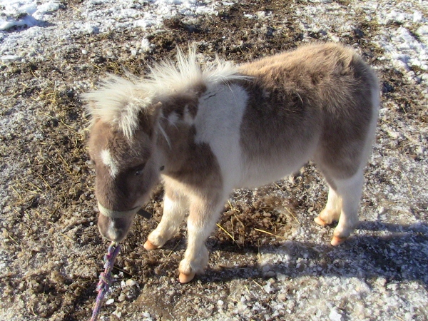 2010-04-21 2010-04-21 040 007 (600x450)