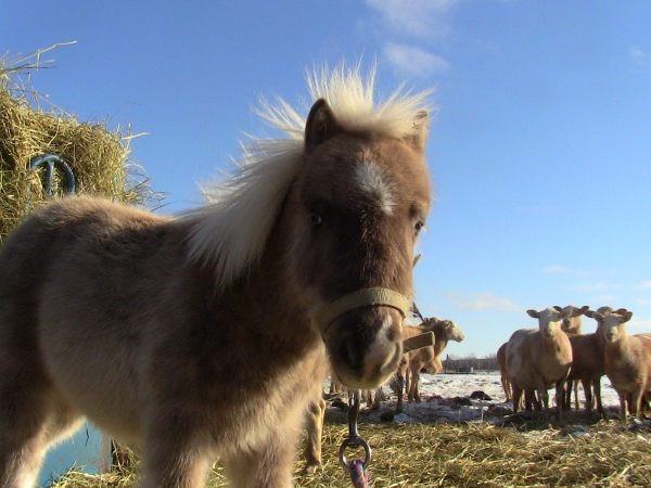 2010-04-21 2010-04-21 040 014 (600x450)