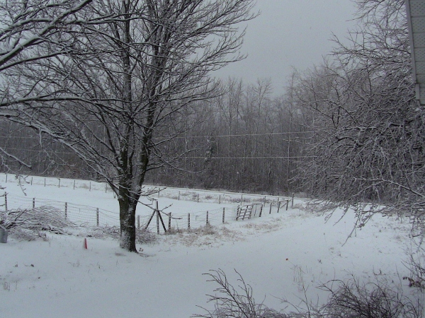 2010-04-21 2010-04-21 045 008 (600x450)