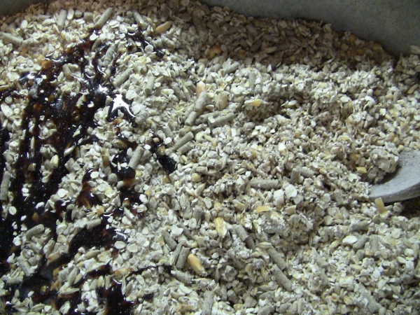 2010-04-21 2010-04-21 047 001 (600x450)