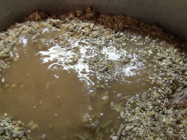 2010-04-21 2010-04-21 047 002 (600x450)