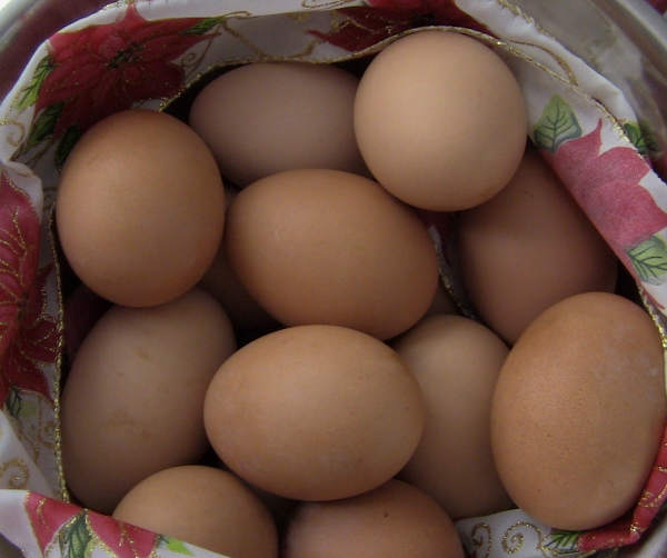 2012-12-22 2012-12-22 002 001 (600x502)