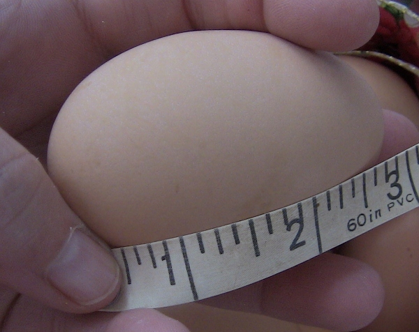 2012-12-22 2012-12-22 002 002 (600x476)