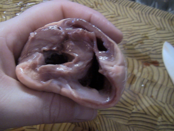 2012-12-23 2012-12-23 006 006 (600x450)