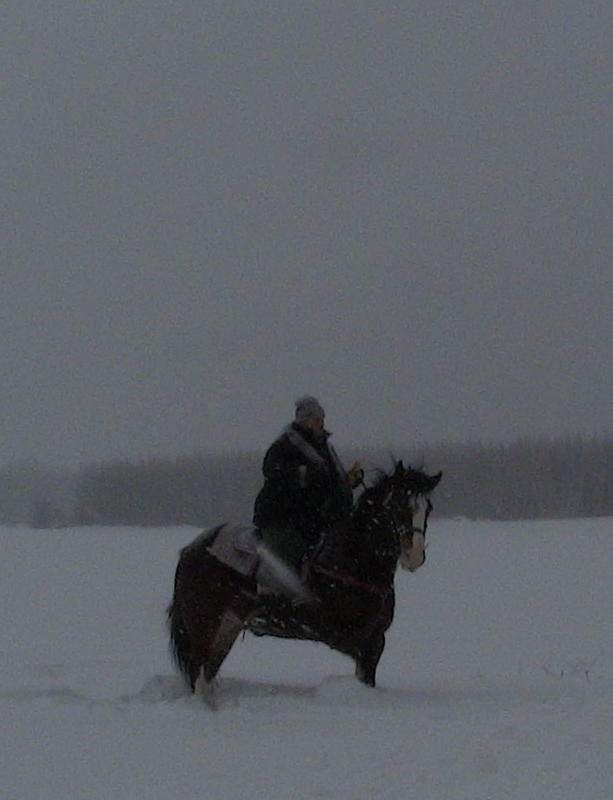 2012-12-24 2012-12-24 002 007