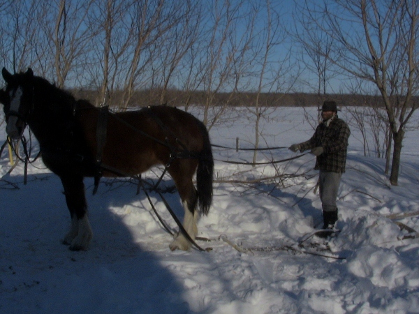 2012-12-24 2012-12-24 010 005 (600x450)