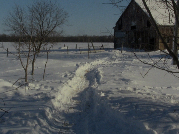 2012-12-24 2012-12-24 010 006 (600x450)