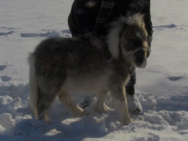 2012-12-24 2012-12-24 010 017 (600x449)