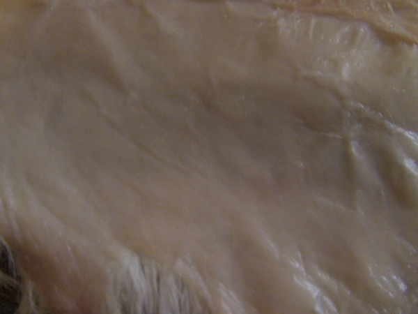 2012-12-24 2012-12-24 013 006 (600x450)