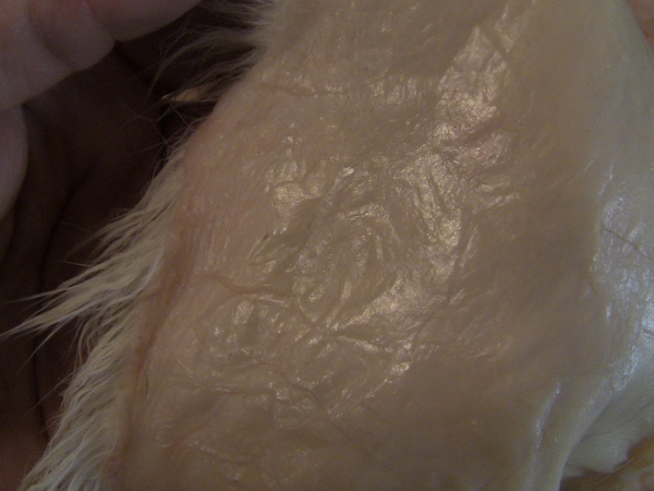 2012-12-24 2012-12-24 013 007 (600x450)