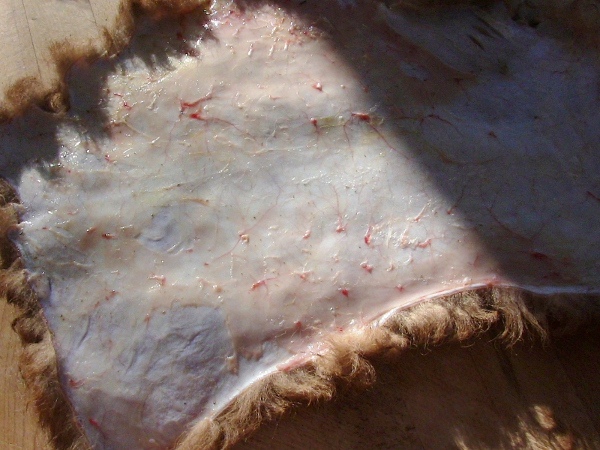 2012-12-24 2012-12-24 023 003 (600x450)