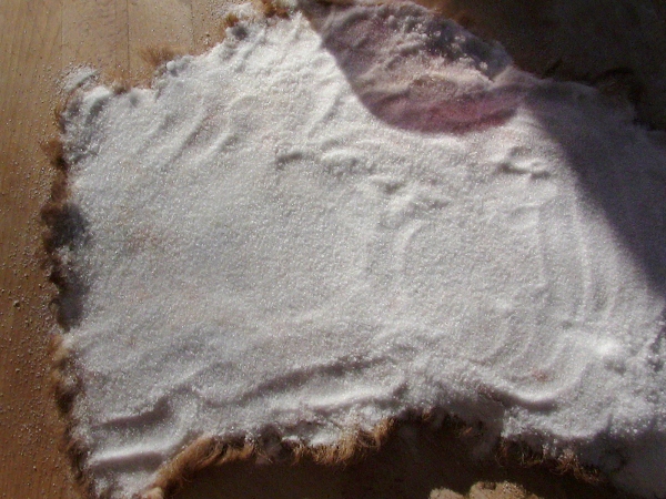 2012-12-24 2012-12-24 023 004 (600x450)