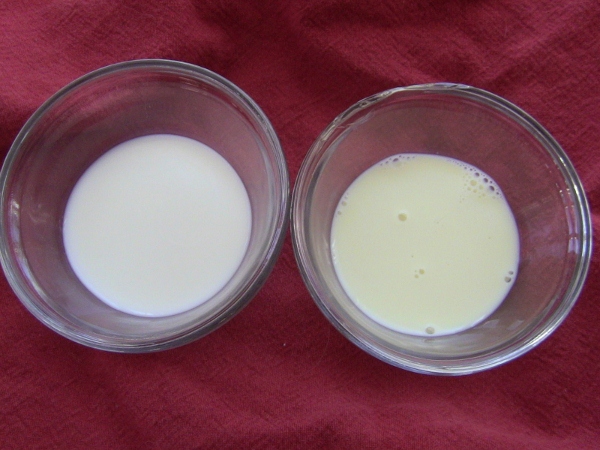 2012-12-24 2012-12-24 024 001 (600x450)