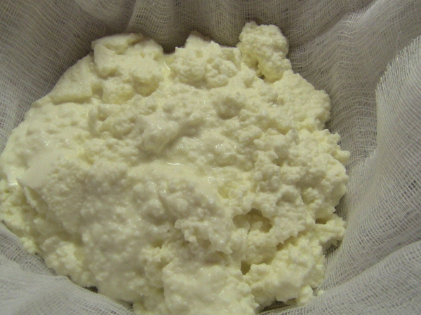 2012-12-24 2012-12-24 027 002 (600x450)