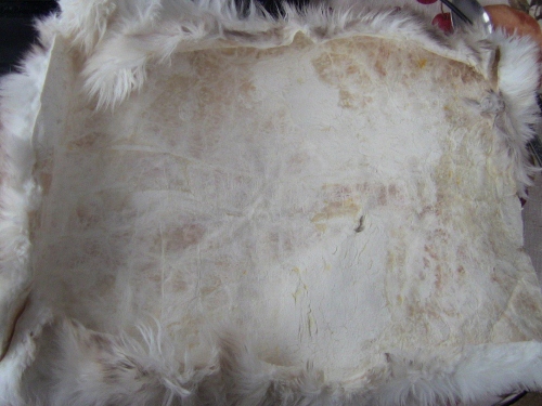 2012-12-24 2012-12-24 036 004 (500x375)