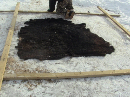 2012-12-24 2012-12-24 036 005 (500x375)