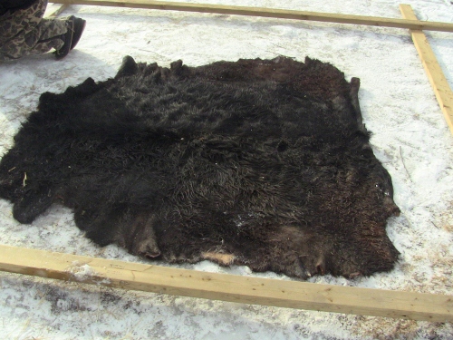 2012-12-24 2012-12-24 036 006 (500x375)