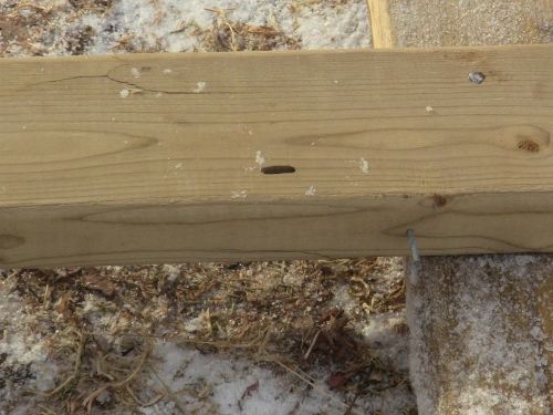 2012-12-24 2012-12-24 036 007 (500x375)