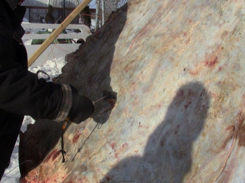 2012-12-24 2012-12-24 036 010 (500x375)