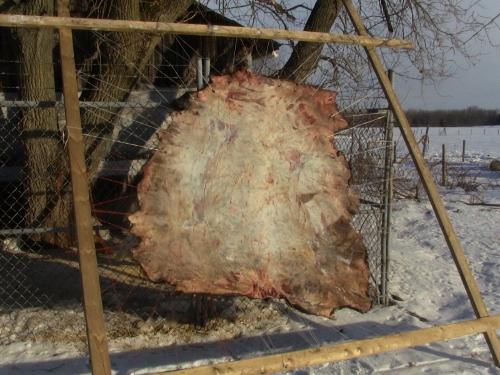 2012-12-24 2012-12-24 036 015 (500x375)