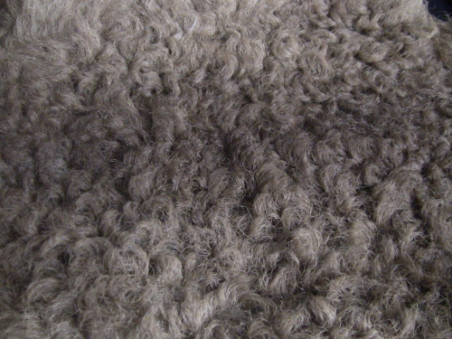 2012-12-24 2012-12-24 039 001 (500x375)