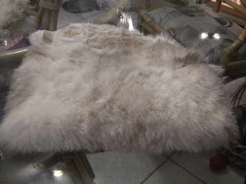 2012-12-24 2012-12-24 041 004 (500x375)