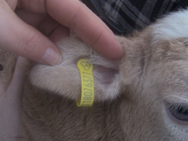 2013-01-12 2013-01-12 001 008 (600x450)