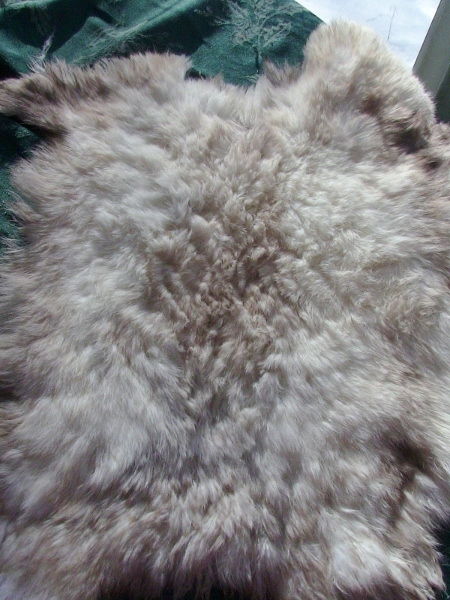 2013-01-17 2013-01-17 002 001 (450x600)