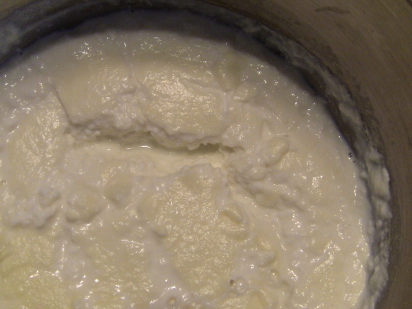 2013-01-20 2013-01-20 001 006 (600x450)