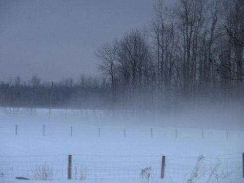 2013-01-31 2013-01-31 001 001 (500x375)