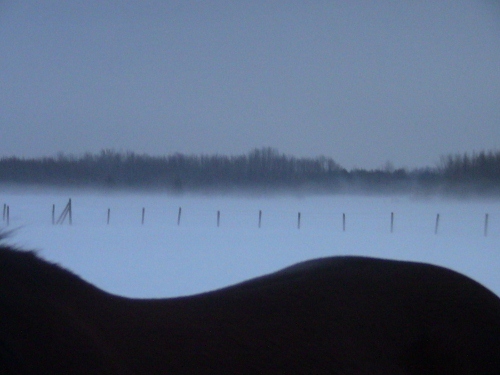 2013-01-31 2013-01-31 001 003 (500x375)