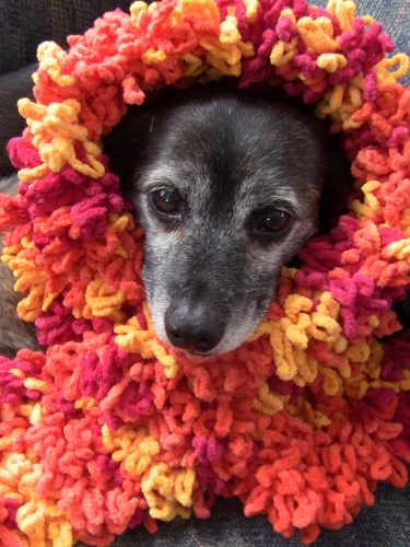 2013-01-31 2013-01-31 001 005 (375x500)