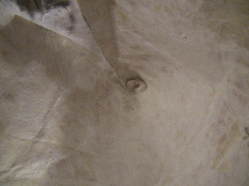 2012-12-24 2012-12-24 041 002 (500x375)