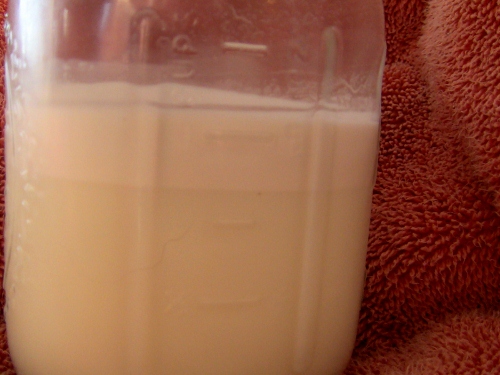 2012-12-24 2012-12-24 046 003 (500x375)