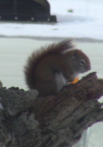 2012-12-24 2012-12-24 050 004