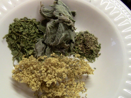 2012-12-24 2012-12-24 052 002 (500x375)