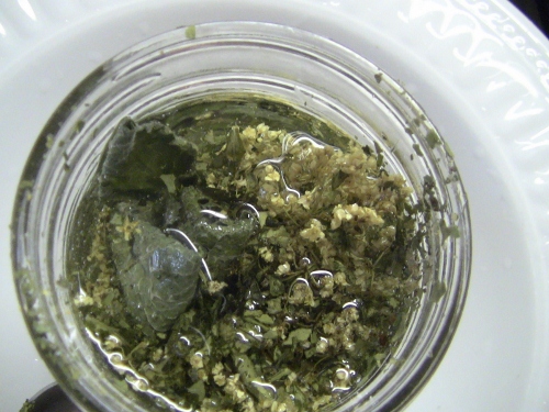 2012-12-24 2012-12-24 052 004 (500x375)