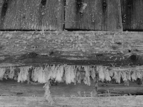 2012-12-24 2012-12-24 054 004 (500x375)