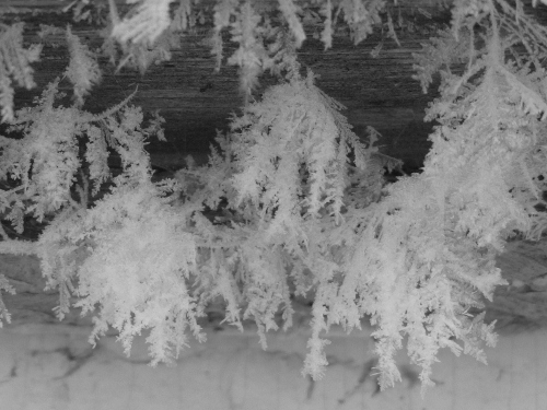 2012-12-24 2012-12-24 054 007 (500x375)