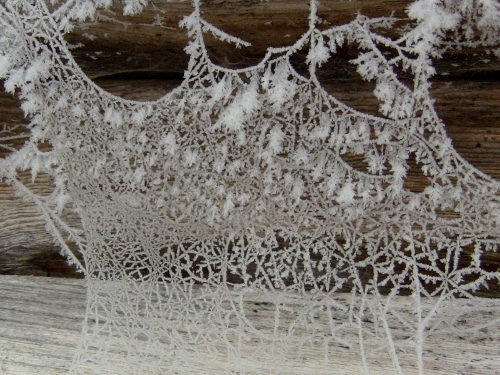 2012-12-24 2012-12-24 054 009 (500x375)